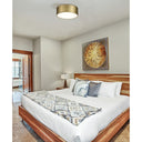 Z-Lite Harley 3 Light Flush Mount image 34