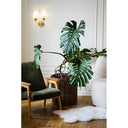 Z-Lite Katerina 2 Light Wall Sconce image 13