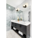 Z-Lite Lyna 2 Light Vanity Light image 20