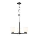 Z-Lite Naya 3 Light Chandelier image
