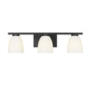Z-Lite Naya 3 Light Vanity Light image 6