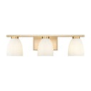 Z-Lite Naya 3 Light Vanity Light image 7