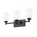 Z-Lite Oren 3 Light Vanity Light image 10