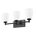Z-Lite Oren 3 Light Vanity Light image 18