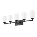 Z-Lite Oren 5 Light Vanity Light image 18