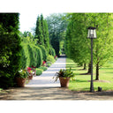Z-Lite Rainer Glass 5 Light Outdoor Post Mounted Fixture image 6