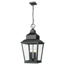Z-Lite Raphael 4 Light Outdoor Chain Mount Ceiling Fixture image