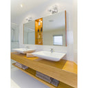 Z-Lite Rubicon 2 Light Vanity Light image 11
