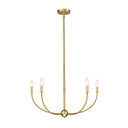 Z-Lite Shannon 5 Light Chandelier image 5