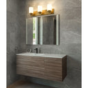 Z-Lite Soledad 3 Light Vanity Light image 22