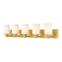 Z-Lite Soledad 5 Light Vanity Light image