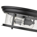 Z-Lite Sonna Clear Seedy 2 Light Flush Mount image 15