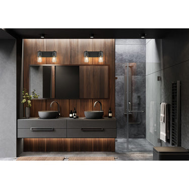 Z-Lite Titus 2 Light Vanity Light image 26
