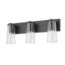 Z-Lite Titus 3 Light Vanity Light image 18