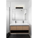 Z-Lite Titus 3 Light Vanity Light image 22