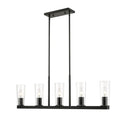 Z-Lite Titus 5 Light Linear Chandelier image