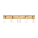 Z-Lite Titus 5 Light Vanity Light image 11