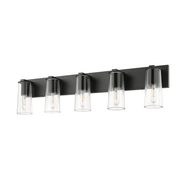 Z-Lite Titus 5 Light Vanity Light image 18