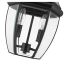 Z-Lite Westover 2 Light Outdoor Chain Mount Ceiling Fixture image 4