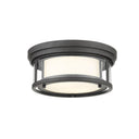 Z-Lite Willow 2 Light Flush Mount image 1