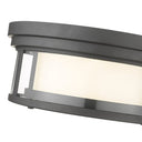 Z-Lite Willow 2 Light Flush Mount image 13
