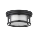 Z-Lite Willow 2 Light Flush Mount image 18