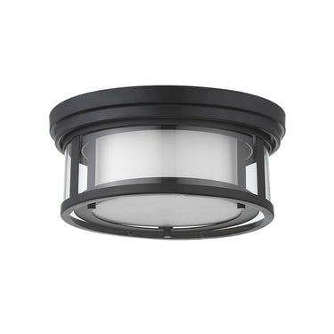 Z-Lite Willow 2 Light Flush Mount image 18