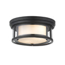Z-Lite Willow 2 Light Flush Mount image 2