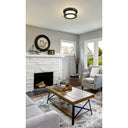 Z-Lite Willow 2 Light Flush Mount image 21
