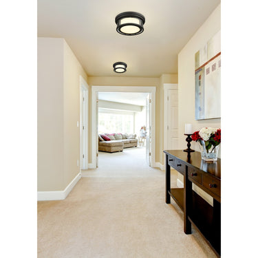 Z-Lite Willow 2 Light Flush Mount image 25