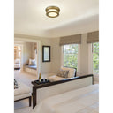 Z-Lite Willow 2 Light Flush Mount image 27