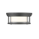 Z-Lite Willow 2 Light Flush Mount image 5
