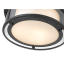 Z-Lite Willow 3 Light Flush Mount image 14