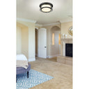 Z-Lite Willow 3 Light Flush Mount image 25