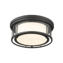 Z-Lite Willow 3 Light Flush Mount image 9